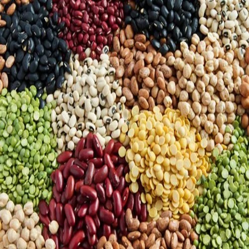 Pulses
